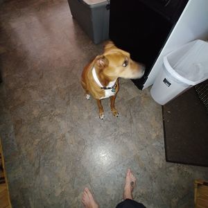 Meet your Posher, Molly